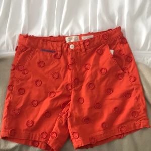 Anthropologie Chino Shorts